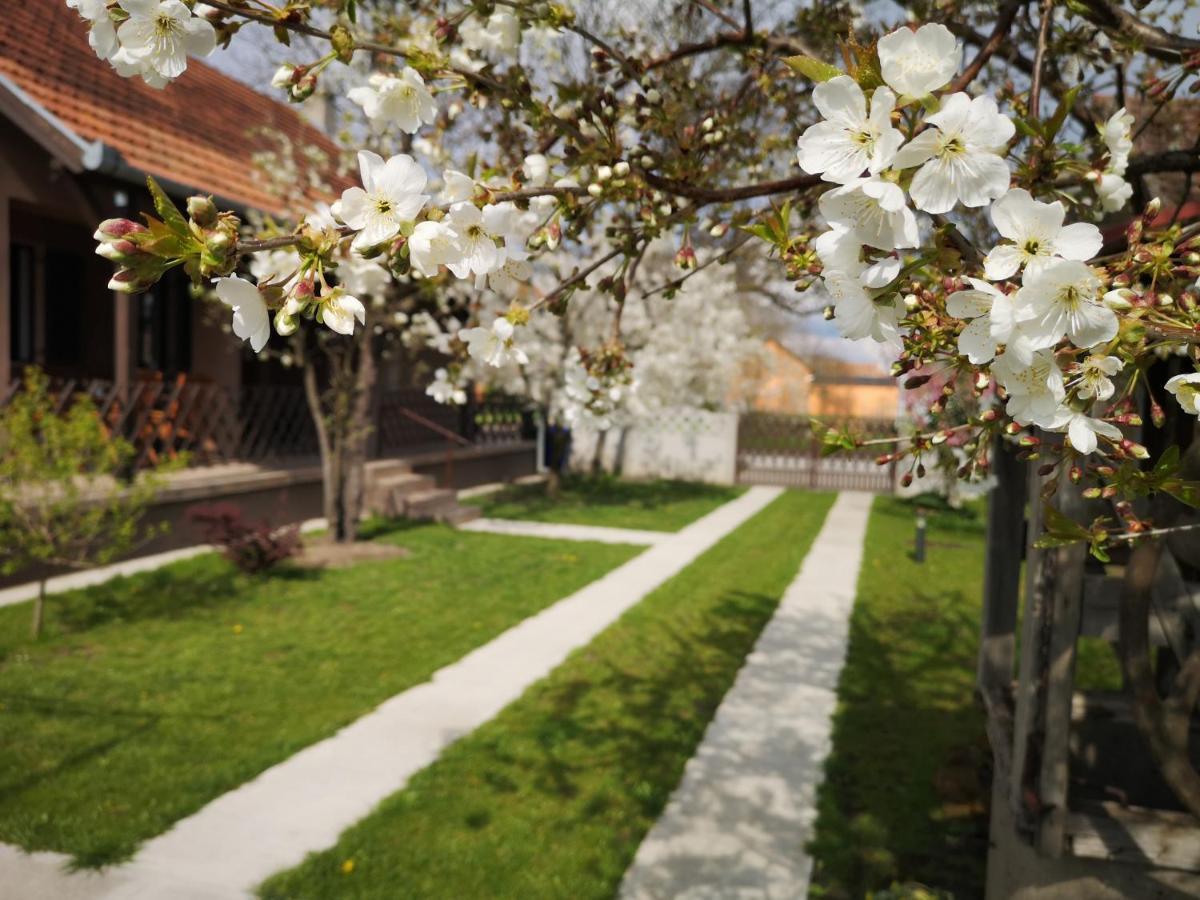 Turul -Kuca Za Odmor- Korod Exterior foto
