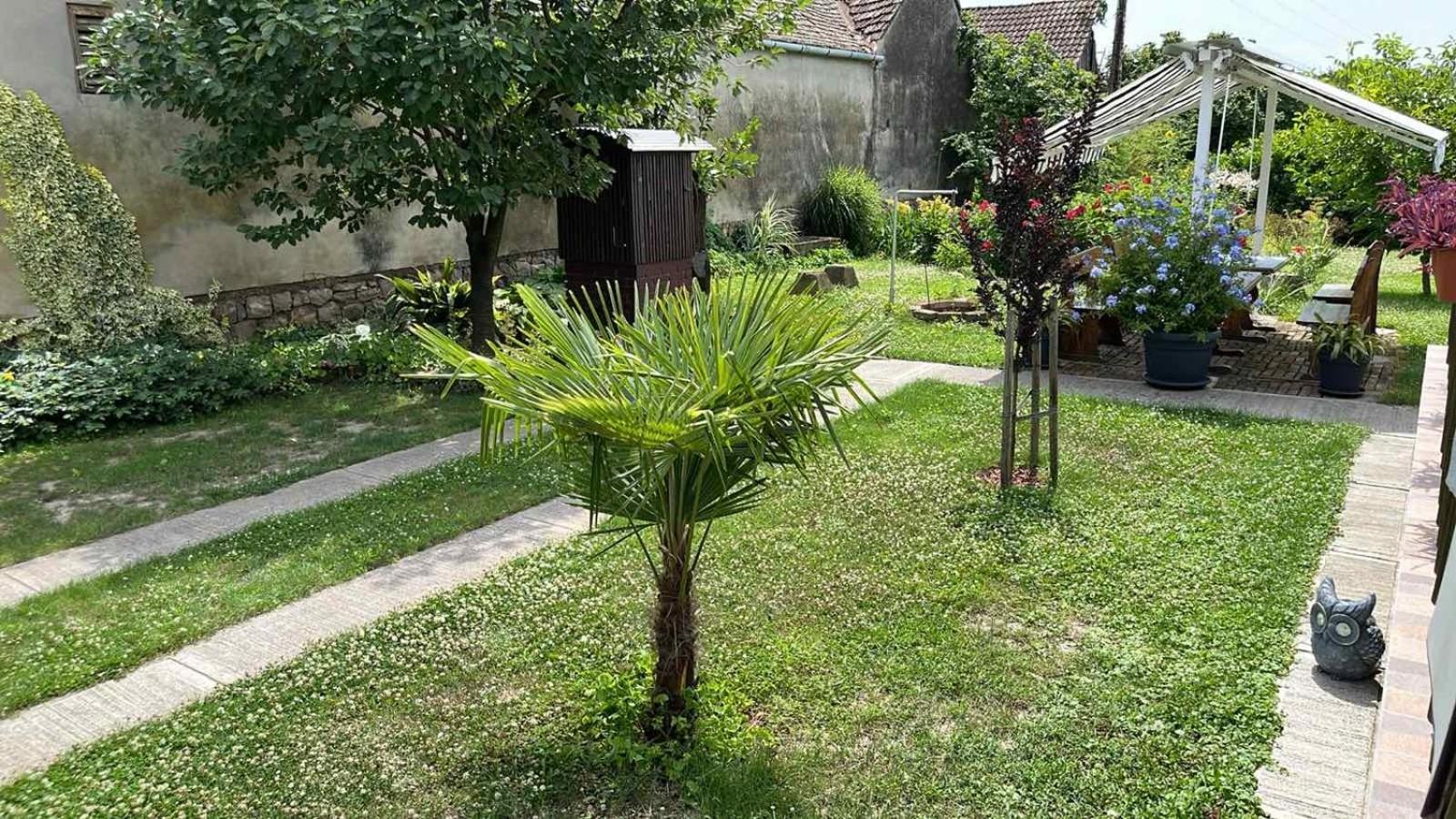 Turul -Kuca Za Odmor- Korod Exterior foto